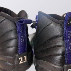 Air Jordan 12 purple and black